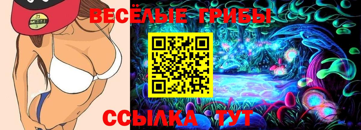 Псилоцибиновые грибы мухоморы Первоуральск